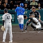 ２回１死、横浜の林琢真がスローボールで死球を受ける＝甲子園球場（撮影・鈴木雅之）