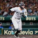 阪神-ＤｅＮＡ　８回、同点適時打を放つ阪神・佐藤輝（撮影・丸山桃奈）