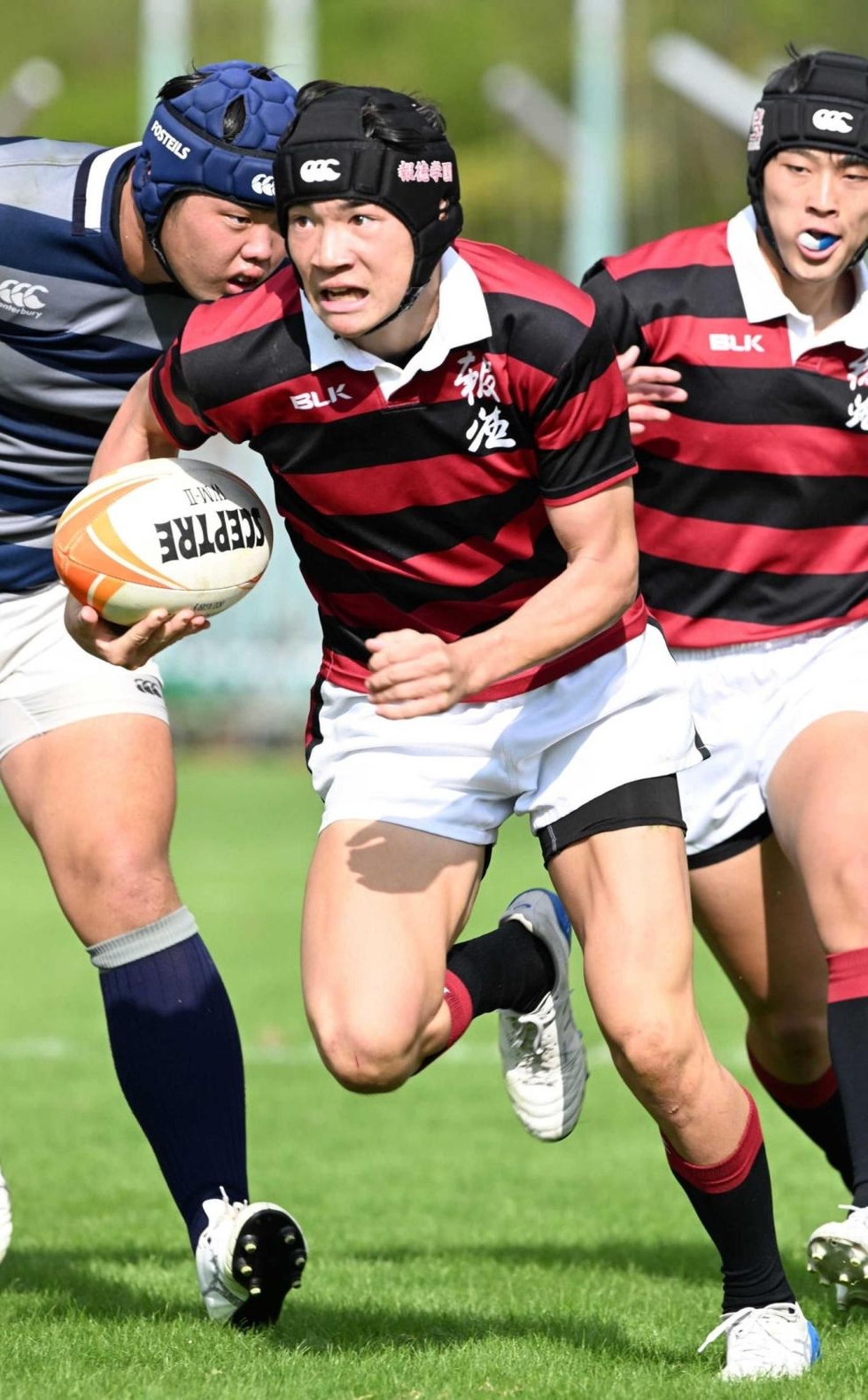 全国高校ラグビー兵庫県予選、8日決勝 報徳対関学、7年連続で激突