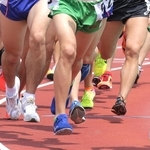 神戸新聞ＮＥＸＴ