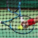 神戸新聞ＮＥＸＴ