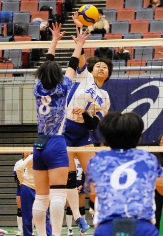 大阪北－兵庫　第１セット、スパイクを放つ兵庫の小柳