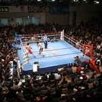 世界王者を目指す選手たちが全国から集まり、しのぎを削るボクシングの聖地後楽園ホール