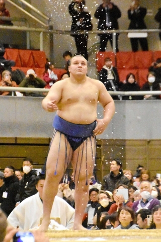 ２０２５年１２月の大相撲尼崎巡業で取組に臨む安青錦＝尼崎市、ベイコム総合体育館