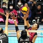 姫路－大阪Ｍ　第２セット、アタックを放つ姫路の野中（右）