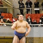 ２０２５年１２月の大相撲尼崎巡業で取組に臨む安青錦＝尼崎市、ベイコム総合体育館