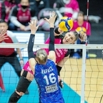 力強いスパイクを打つ姫路のミンガルディ（チーム提供）