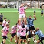 プレーオフ決勝を前に、練習に励む神戸の選手たち＝神戸市東灘区のチームグラウンド
