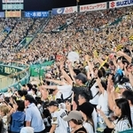 阪神-巨人　５回裏阪神が追加点を挙げて六甲おろしの大合唱に湧く阪神ファン＝甲子園球場（撮影・鈴木雅之）