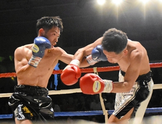 ボクシング西日本新人王決勝戦のフライ級で勝利した高橋歩夢（左）＝堺市産業振興センター