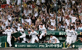 熱狂する甲子園球場。阪神ベンチもスタンドも沸き上がる（撮影・鈴木雅之）