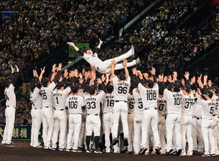 阪神-広島　選手やスタッフに胴上げされる藤川球児監督＝甲子園球場（撮影・鈴木雅之）