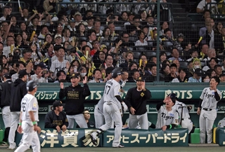 阪神-横浜　９回裏阪神無死一、二塁、バントを決めた伏見を迎える阪神ベンチ＝甲子園球場（撮影・鈴木雅之）
