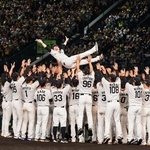 阪神タイガース、地元ファンと連覇の喜び　甲子園に凱旋、優勝セレモニー　藤川監督宙舞う