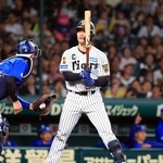 阪神-横浜　２回、２死一、二塁のチャンスも三振となった坂本＝１４日夜、西宮市の甲子園球場（撮影・丸山桃奈）