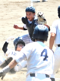 緑陰＞ファンだった少年が攻守の要に 明石商・松浦捕手｜24年兵庫大会