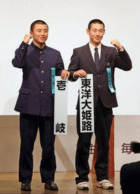 ufp-26-4.jpg