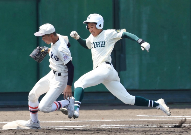 東洋大姫路－報徳 決勝｜写真集｜兵庫の高校野球｜神戸新聞NEXT