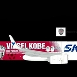 スカイマークが運行予定の特別デザイン機「ヴィッセルジェット」のイメージ図（ヴィッセル神戸提供）