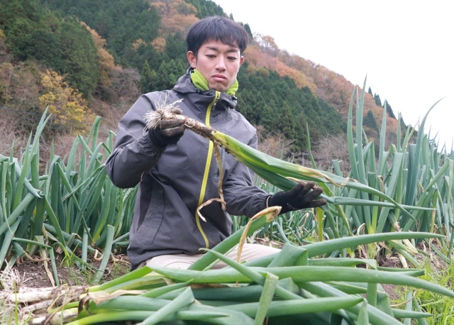 Ｕターンして岩津ねぎを栽培する若手農家の鴨谷康隆さん＝朝来市