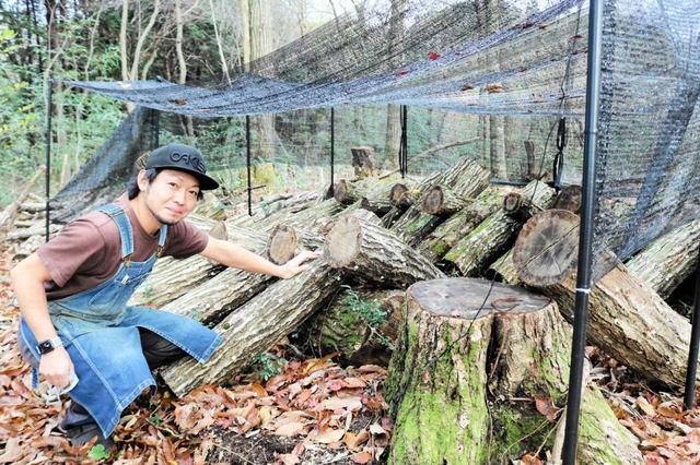 整備をしている森でキノコを栽培している北村元気さん＝豊岡市日高町太田