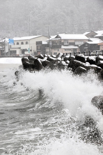 波浪注意報が出た新温泉町。大きな波を緩和する漁港の消波ブロックには雪が積もっていた＝新温泉町諸寄