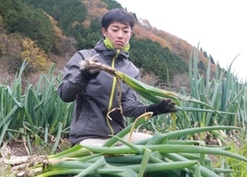 Ｕターンして岩津ねぎを栽培する若手農家の鴨谷康隆さん＝朝来市