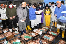漁解禁直後から単価が高騰しているズワイガニの競り＝９日、香住漁港西港
