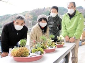 正月用の盆景を作った参加者ら＝香美町・小代地区公民館