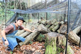 整備をしている森でキノコを栽培している北村元気さん＝豊岡市日高町太田