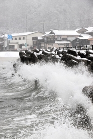 波浪注意報が出た新温泉町。大きな波を緩和する漁港の消波ブロックには雪が積もっていた＝新温泉町諸寄