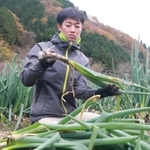 Ｕターンして岩津ねぎを栽培する若手農家の鴨谷康隆さん＝朝来市