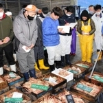 漁解禁直後から単価が高騰しているズワイガニの競り＝９日、香住漁港西港