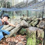 整備をしている森でキノコを栽培している北村元気さん＝豊岡市日高町太田