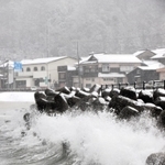 波浪注意報が出た新温泉町。大きな波を緩和する漁港の消波ブロックには雪が積もっていた＝新温泉町諸寄