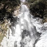 猿尾滝の上段で出現した「氷瀑」＝香美町村岡区日影