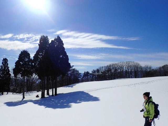 真っ白な雪と真っ青な空のコントラストが鮮やかな雪原の景色（撮影・阿部江利）