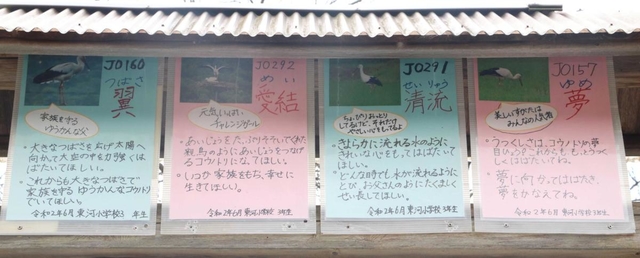 児童が作って地域の案内板に掲示している４羽の紹介ボード＝朝来市和田山町久田和