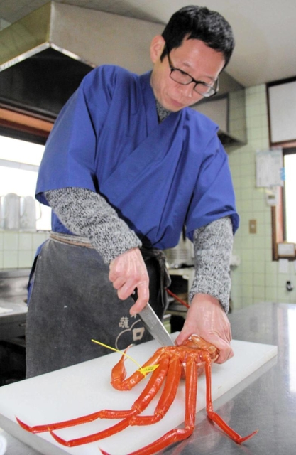 香住ガニを包丁でさばく石田裕二さん＝香美町香住区香住