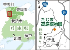 神戸新聞ＮＥＸＴ