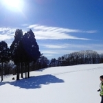 真っ白な雪と真っ青な空のコントラストが鮮やかな雪原の景色（撮影・阿部江利）