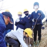 斜面にヤマザクラの苗木を植える竹田小の児童たち＝立雲峡