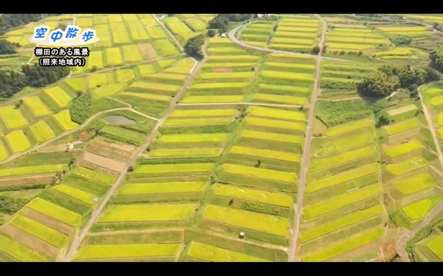 照来地区の棚田（新温泉町提供）