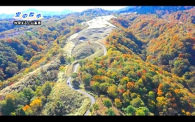 上山高原（新温泉町提供）