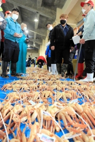 今季最後となった松葉ガニの競り＝浜坂漁港