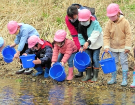 サケの稚魚を放流する子どもたち＝新温泉町七釜