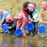 サケの稚魚を放流する子どもたち＝新温泉町七釜