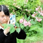 タニウツギの花をスマートフォンで撮影する井上鈴奈さん＝たじま高原植物園