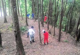 コウロギ古墳で測量をする中学生たち＝豊岡市中郷（豊岡市立歴史博物館提供）