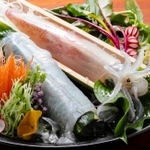 料理フェアで提供されるケンサキイカの生き造り（香美町提供）